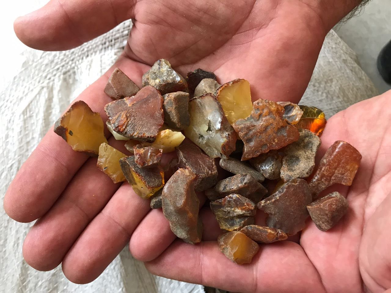 балтийского моря янтарь добыча янтаря. янтарь на пляже в зеленоградске. бирманский янтарь. можно ли найти янтарь. балтийский янтарь калининград.