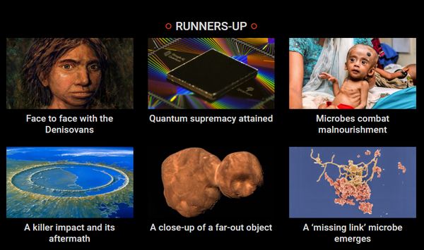 наука, итоги