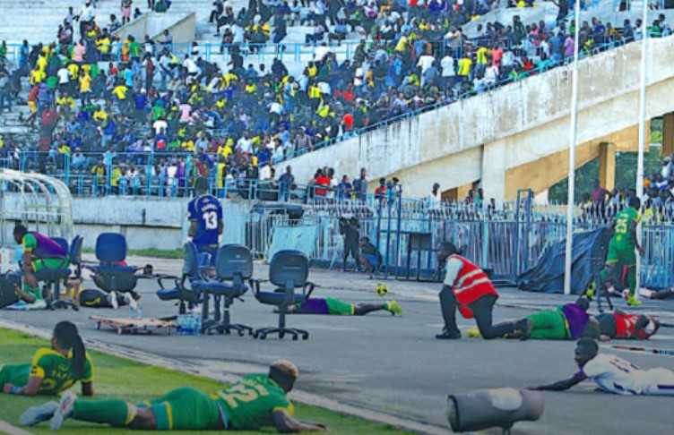 футбол, пчелі