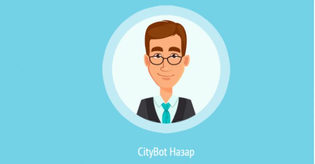 сити-бот, сервис