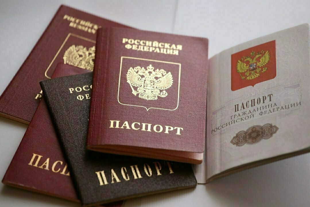 паспорт, рф, ордло