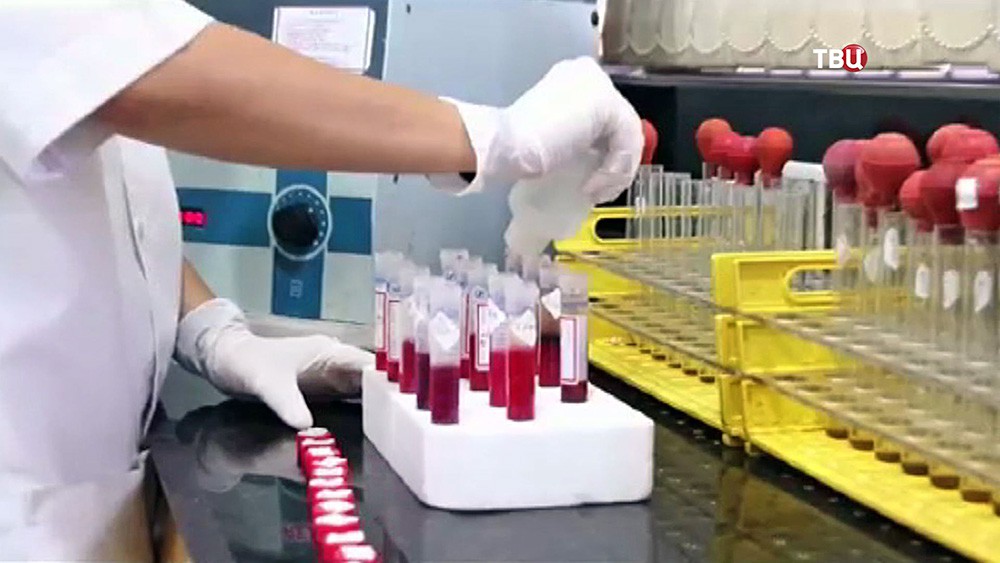 коронавирус