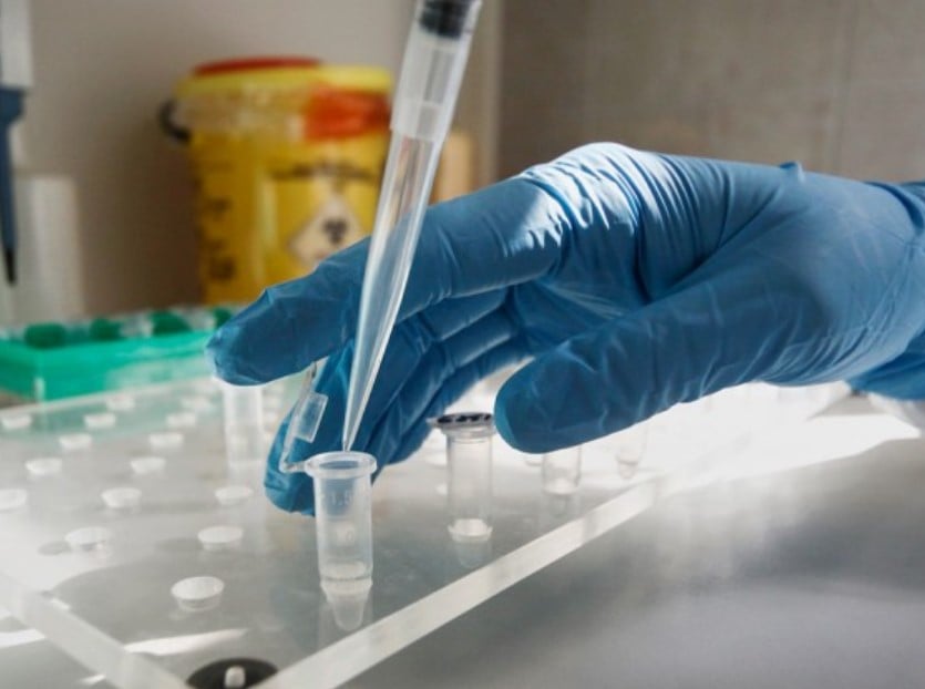 коронавирус