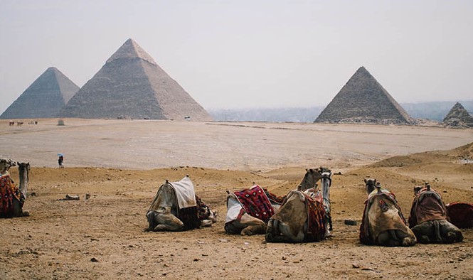 египет, туризм