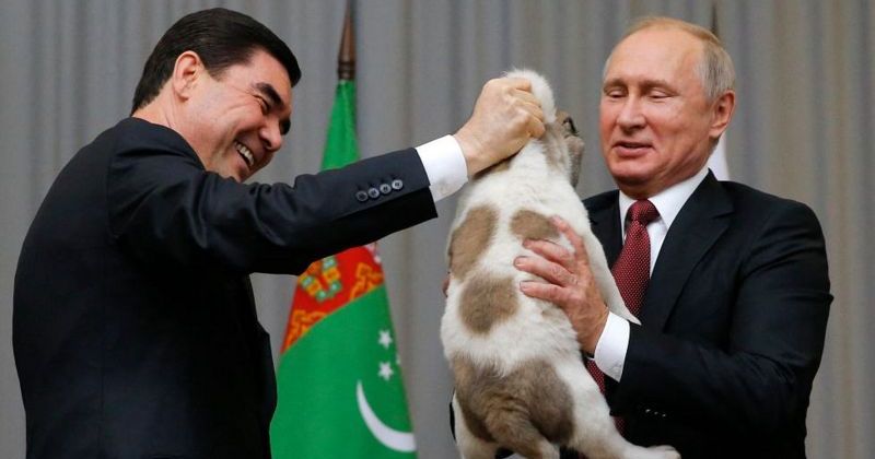 собака, туркменистан