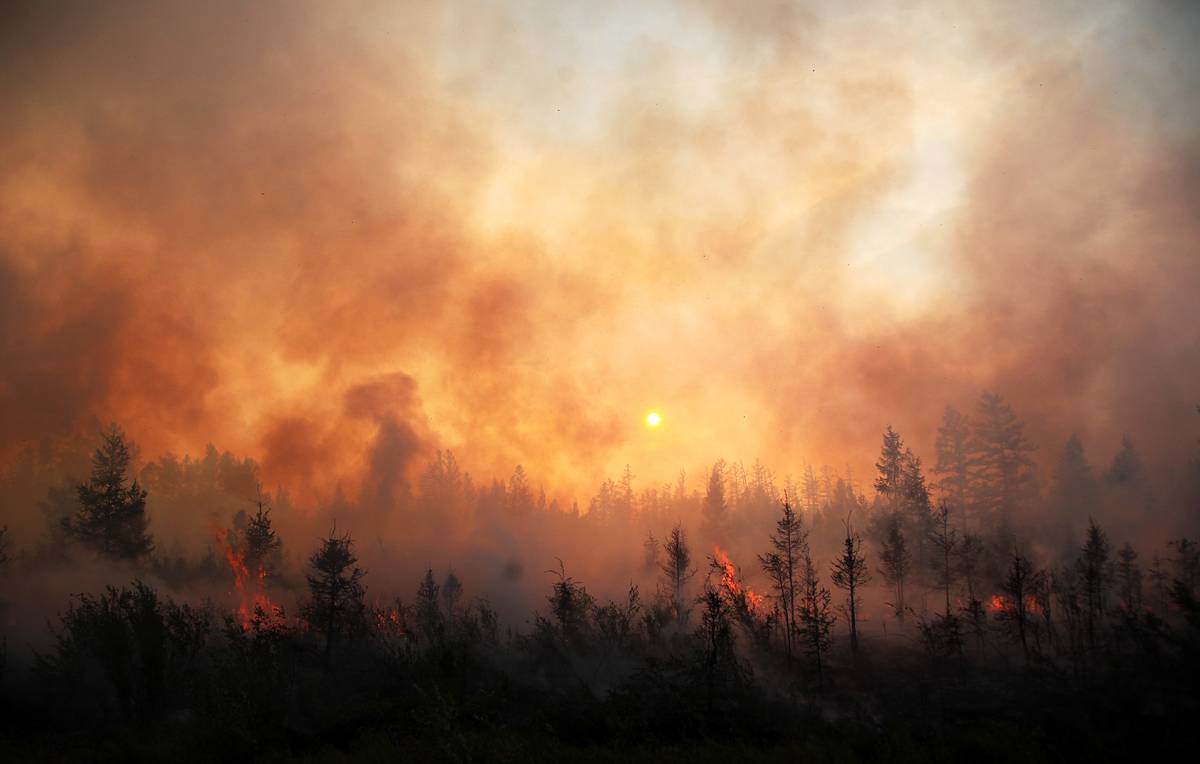 пожар, лес, россия, Финляндия