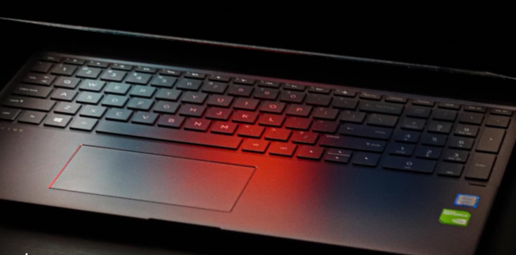 образование, коррупция