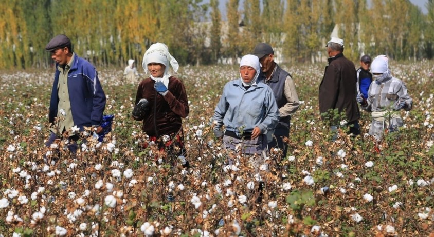 Узбекистан, фермеры