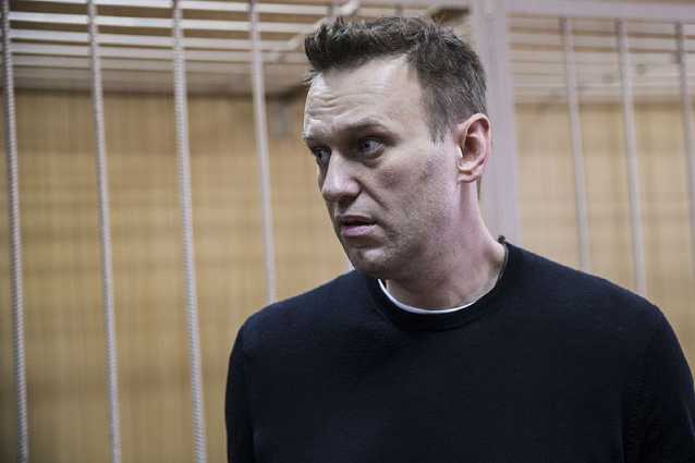 Навальный, Евросоюз