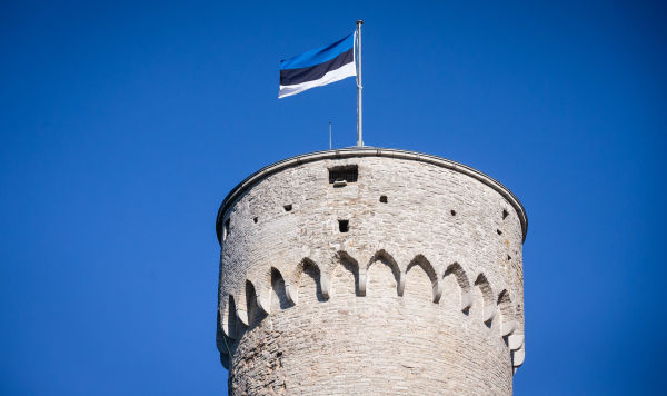 Эстония, помощь, донбасс