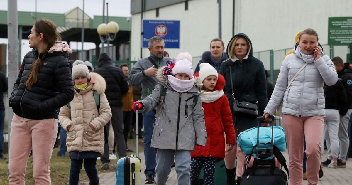 беженцы, война