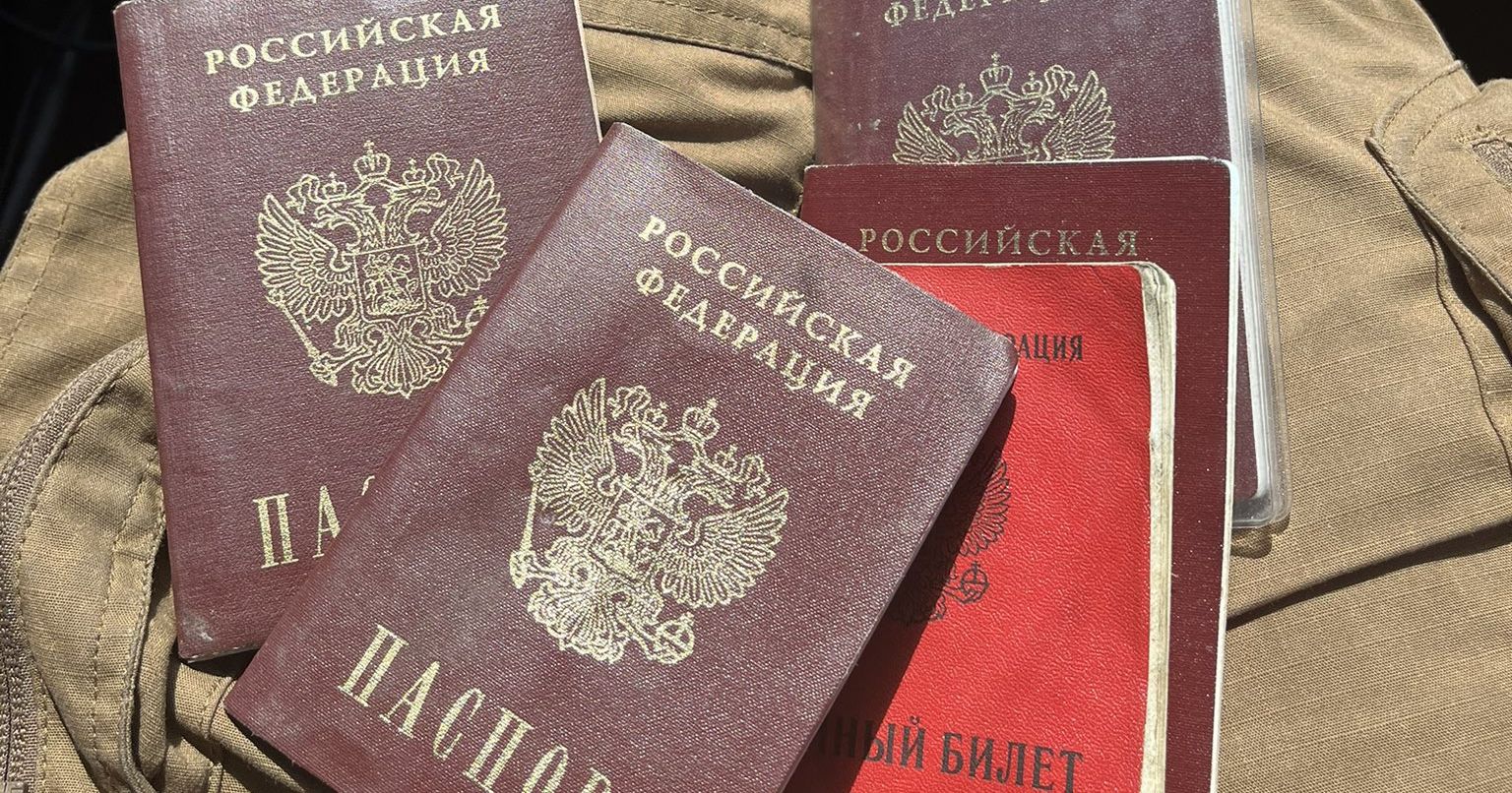 паспорт, оккупация