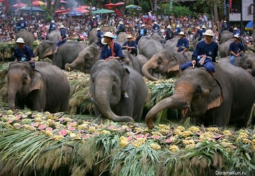 слоны, Таиланд