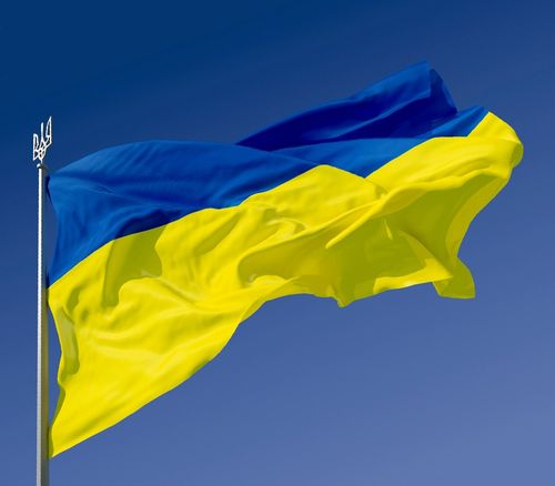 сэттер, Украина, реформы