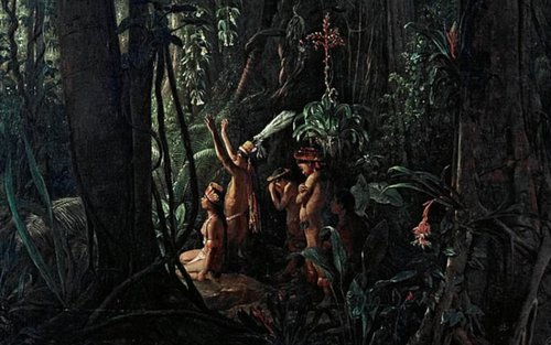 индейцы, леса, наука