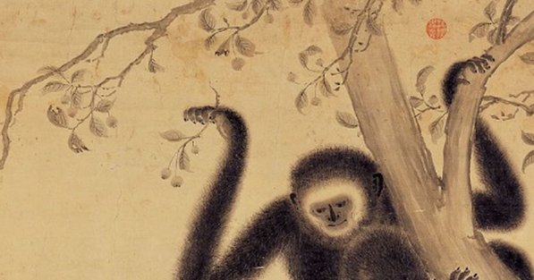 археологи, обезьяны