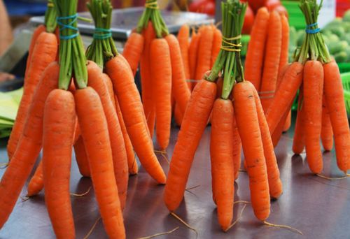 морковь, цена